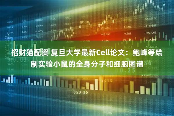 招财猫配资 复旦大学最新Cell论文：鲍峰等绘制实验小鼠的全身分子和细胞图谱