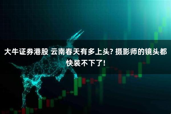 大牛证券港股 云南春天有多上头? 摄影师的镜头都快装不下了!