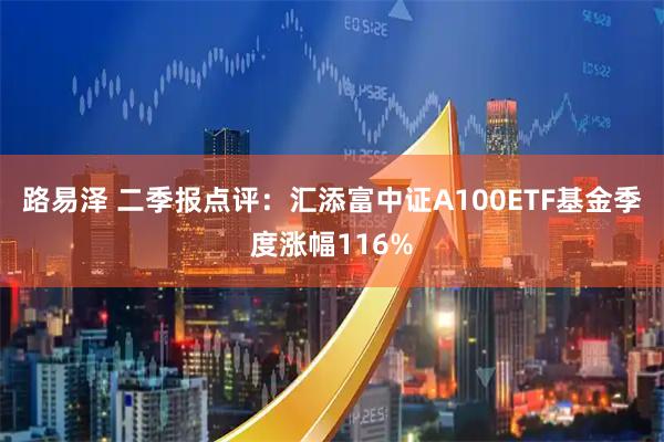 路易泽 二季报点评：汇添富中证A100ETF基金季度涨幅116%