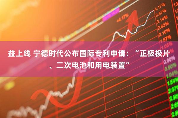 益上线 宁德时代公布国际专利申请:“正极极片、二次电池和用电装置”